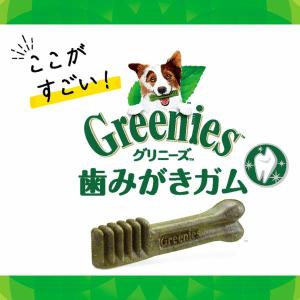 【公認店】グリニーズ プラス カロリーケア 小...の詳細画像4