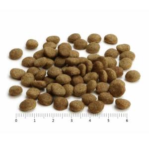 プロフェッショナル・バランス 1歳から成犬用 ...の詳細画像3