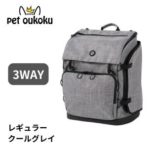 AIRBUGGY（エアバギー） 正規品 スリーウェイ バックパック キャリー