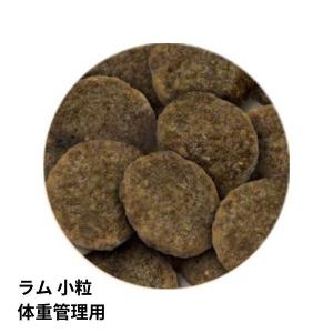 【選べるおまけ付き】 セレクトバランス スリム...の詳細画像1