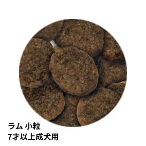 【選べるおまけ付き】 セレクトバランス エイジ...の詳細画像1