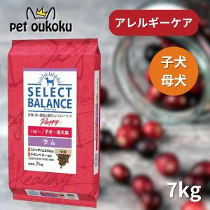 セレクトバランス パピー 幼犬用 チキン7kg×2個 SELECT BALANCE セレクトバランス パピー チキン 小粒 子犬・母