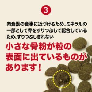 キアオラ ドッグフード ラム&サーモン 2.7...の詳細画像5