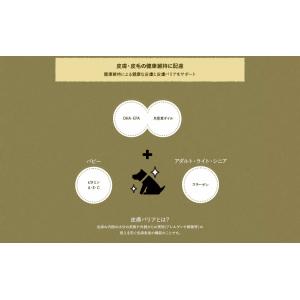 プロステージ ル・シアン ポーク シニア 7歳...の詳細画像5