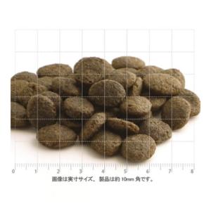 フィッシュ4 ドッグ ファイネスト サーモン ...の詳細画像1