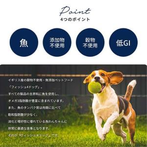 フィッシュ4 ドッグ ファイネスト サーモン ...の詳細画像4