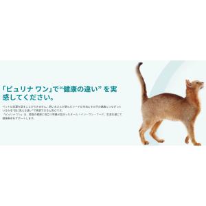 ピュリナワン キャット メタボリックエネルギー...の詳細画像4
