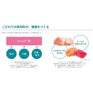 ピュリナワン キャット メタボリックエネルギー...の詳細画像5