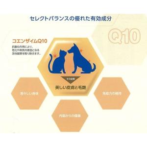 セレクトバランス スリムチキン 小粒 成犬の体...の詳細画像5