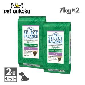 【選べるおまけ付き】 セレクトバランス エイジン...の商品画像