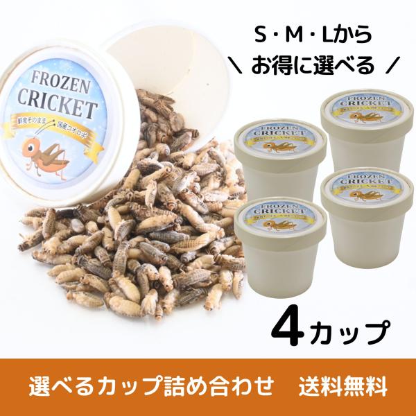 【送料無料 国産冷凍コオロギ】選べるサイズ 4カップ 詰め合わせ はちゅめし 爬虫類エサ 無添加 無...