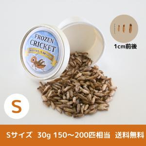 【送料無料 国産冷凍コオロギ】Sサイズ 30g はちゅめし 爬虫類エサ 無添加 無着色 ヨーロッパイエコオロギ