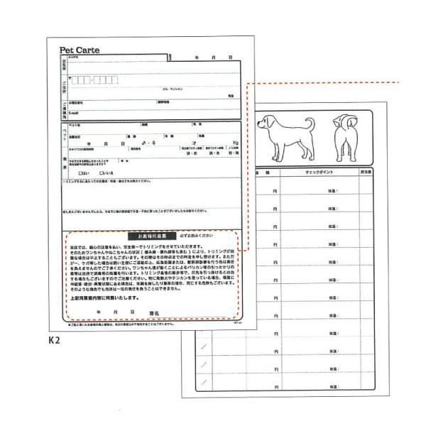 納期2026年1月以降 ペット用 カルテ用紙 ペットカルテB PET K2 (100枚入) 犬 ペッ...