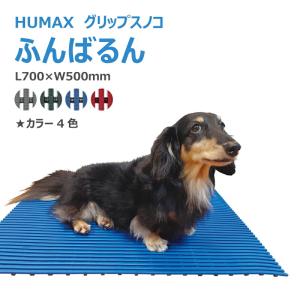 ドリーム ドッグバス ドリーム産業 BS-900 スノコ付 ペット 犬用 業務