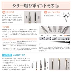 トリミングシザー ストレート ドリーム産業 ノ...の詳細画像5