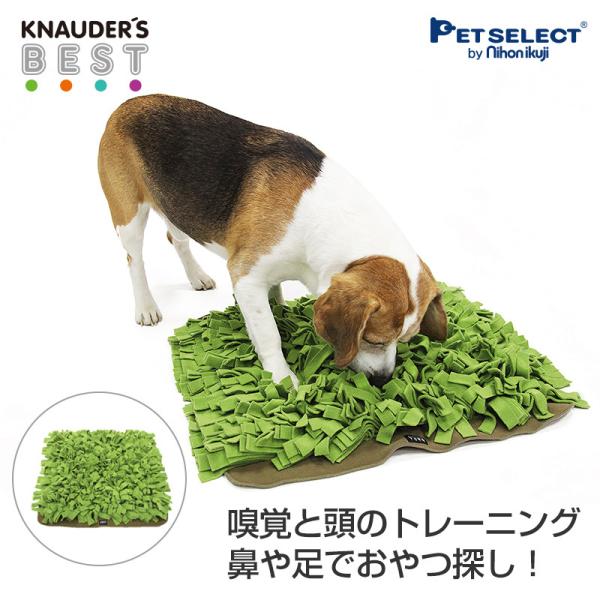 petselect(公式)  犬用 おもちゃ グリーンプレイマット 布製 知育 玩具 トイ おやつ ...