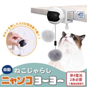 電動ねこじゃらし ニャンコヨーヨー 猫用 おも...の詳細画像1