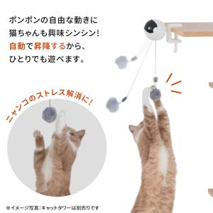 電動ねこじゃらし ニャンコヨーヨー 猫用 おも...の詳細画像3