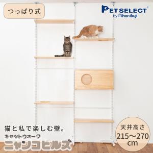 キャット ウォーク ニャンコヒルズ NEW 本...の詳細画像1