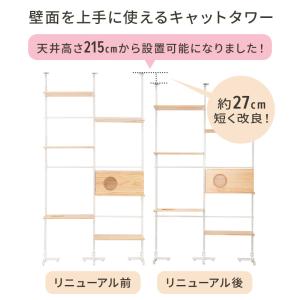 キャット ウォーク ニャンコヒルズ NEW 本...の詳細画像2