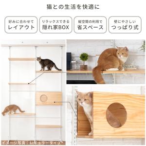 キャット ウォーク ニャンコヒルズ NEW 本...の詳細画像3