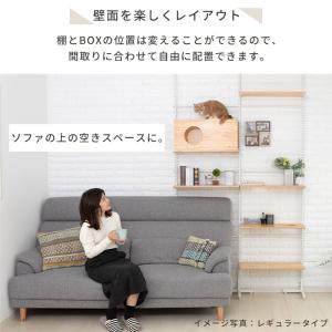 キャット ウォーク ニャンコヒルズ NEW 本...の詳細画像4