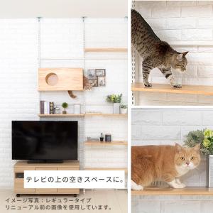 キャット ウォーク ニャンコヒルズ NEW 本...の詳細画像5