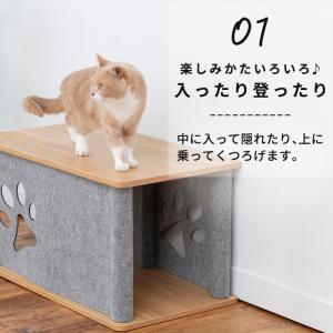 ニャンコノイエ (トンネル&スツール)...の詳細画像4