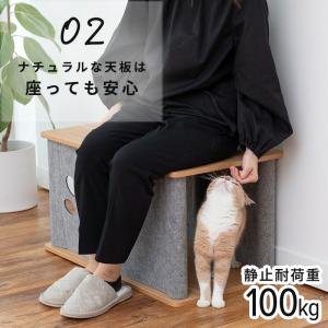 ニャンコノイエ (トンネル&スツール)...の詳細画像5