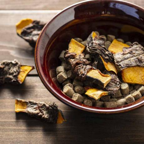 犬 おやつ 国産無添加 かぼちゃの馬肉ステーキ巻き 40g　 手作り 公式 野菜 馬肉 ジャーキー ...