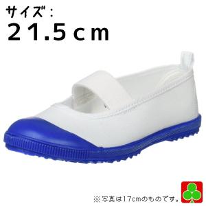 アキレス うわばき バレーシューズ ルームカラー HCB 5207  コン 青 21.5cm 体育館シューズ 室内履き 学校 上履き シューズ バレエシューズ