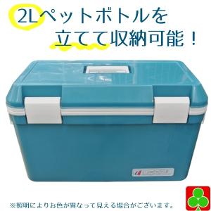 アイセル グリーン ＃35 容量35L クーラーボックス ベルト付き W630×D299×H36.3mm レジャー アウトドア