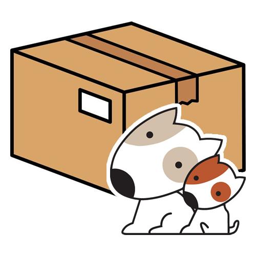 追加送料 (離島・沖縄県・一部地域・発送個数追加の方はこちらから）