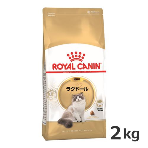 ロイヤルカナン ラグドール 成猫用 2kg