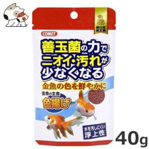イトスイ 金魚の主食納豆菌色揚げ 40gの商品画像
