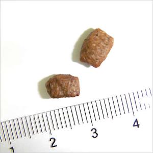 ニュートロ シュプレモ 子犬用 小粒 6kgの詳細画像2