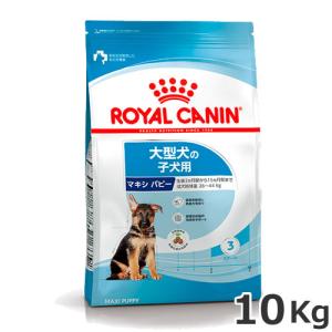 ロイヤルカナン マキシ パピー 10kg（大型犬専用フード 子犬用）