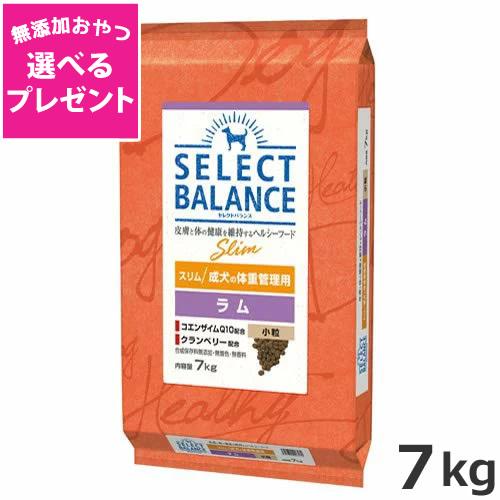 ☆【選べる無添加おやつプレゼント】ベッツ・チョイス セレクトバランス スリム ラム 小粒 7kg あ...