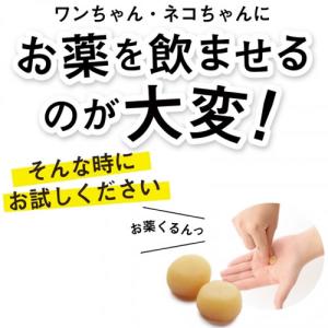 【メール便】選べる2種 4個セット 犬用 投薬...の詳細画像1