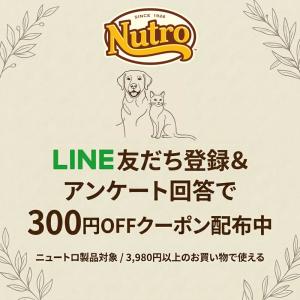 2個セット ニュートロ シュプレモ 成犬用 小...の詳細画像3