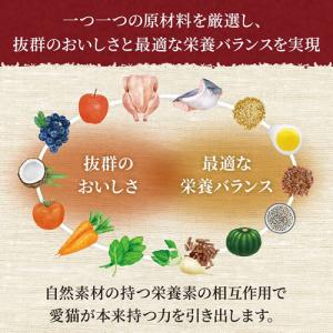 ニュートロ シュプレモ 成猫用 白身魚&amp...の詳細画像2