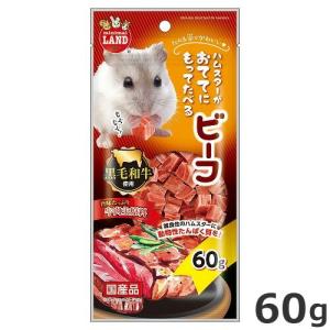 ★【今月のお買い得商品】マルカン おててにもって...の商品画像