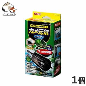 GEX エキゾテラ モンスーンソロ 湿度維持 自動噴霧器 爬虫類 両生類