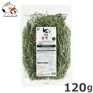 Leaf Corp 令和7年産 国産 やみつきイタリアンライグラス 100g