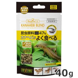 GEX エキゾテラ バグリッチ カナヘビブレンドフード 40g 爬虫類 ドライペレット カナチョロ