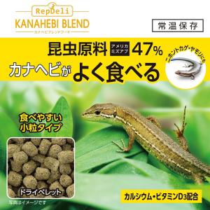 GEX エキゾテラ バグリッチ カナヘビブレン...の詳細画像2