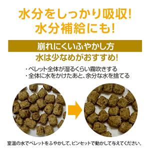 GEX エキゾテラ バグリッチ カナヘビブレン...の詳細画像3