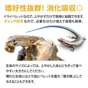 GEX エキゾテラ バグリッチ カナヘビブレン...の詳細画像5