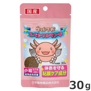 ニチドウ ウーパーフード スペシャルランチ 小粒 沈下性 30g 幼体用 両生類用 フード