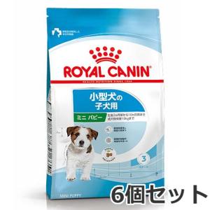 6個セット ロイヤルカナン ミニパピー（小型犬専用フード 子犬用）2kg×6個セット